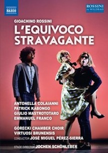 L´equivoco stravagante