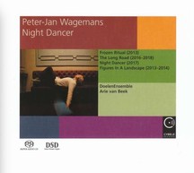 Peter-Jan Wagemans: Night Dancer